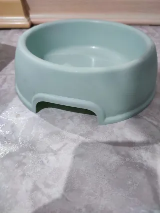 Box con sabbiera e alimentatore per gatti