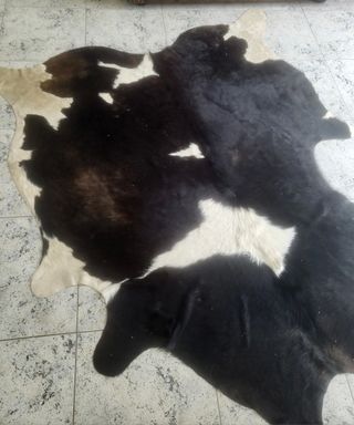 Alfombra Piel Vaca Natural