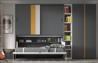 CAMA ABATIBLE CON ARMARIO FORMAS EVOLUTION