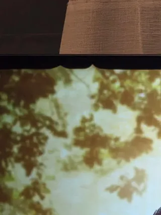 Ultimo precio - LG OLED 55” CX 5 Serie (OLED55CX5L