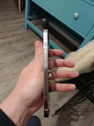 iPhone 13 Pro Max 256GB Argento