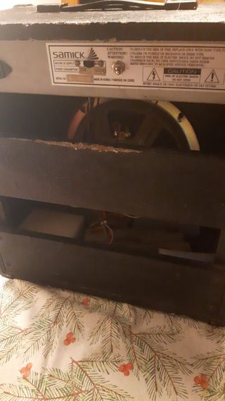 Amplificador Samick LA30R (a baterías) para calle