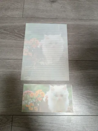 Set SHINN JEE Gatitos