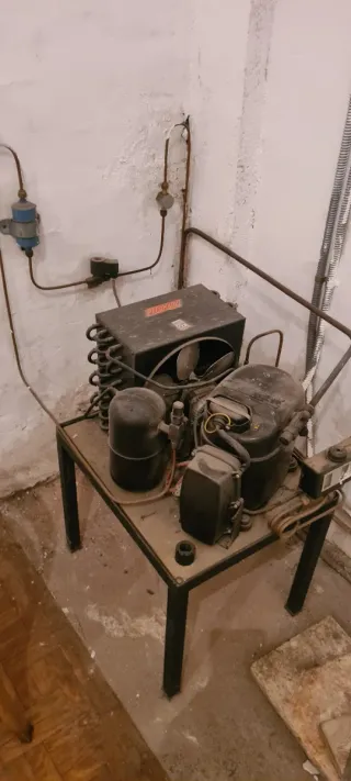 Cámara mostrador carnicería