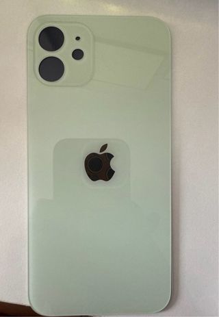 Cover posteriore iPhone 12 Verde