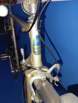 Bicicleta Clásica Vintage StarNord Francesa