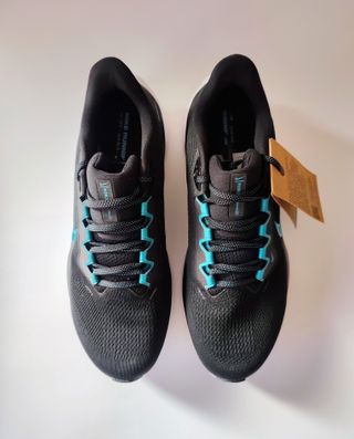 T45.5 - Nike Air Pegasus 41 - black dusty cactus