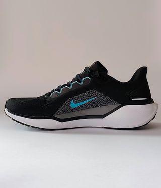 T45.5 - Nike Air Pegasus 41 - black dusty cactus