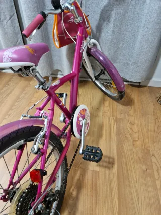 Bicicleta niña de 20 pulgadas