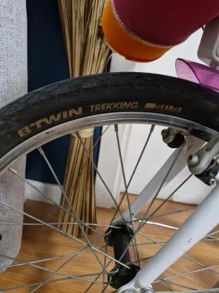 Bicicleta niña de 20 pulgadas