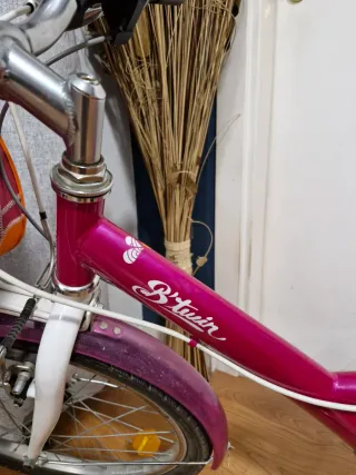 Bicicleta niña de 20 pulgadas