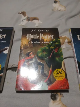 Pack libros Harry Potter para adolescentes