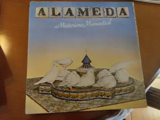 Vinilo Alameda Misterioso Manantial