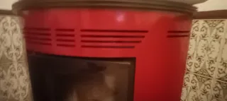 Chimenea de pellets  BRONPI PRINCESA