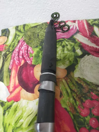 Caña de pesca con carrete SILSTAR CX80B