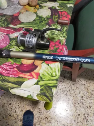Caña de pesca Boomerang Dynamics 500