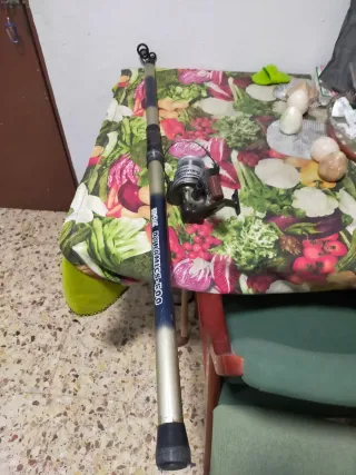 Caña de pesca Boomerang Dynamics 500