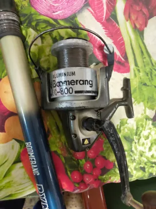 Caña de pesca Boomerang Dynamics 500