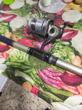 Caña de pesca Boomerang Dynamics 500