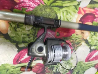 Caña de pesca Boomerang Dynamics 500