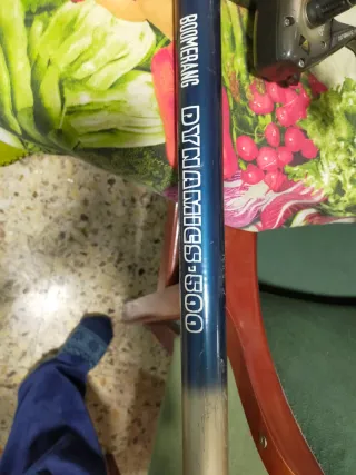 Caña de pesca Boomerang Dynamics 500