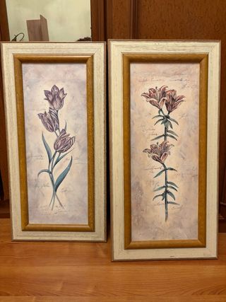 Juego de 2 cuadros de flores