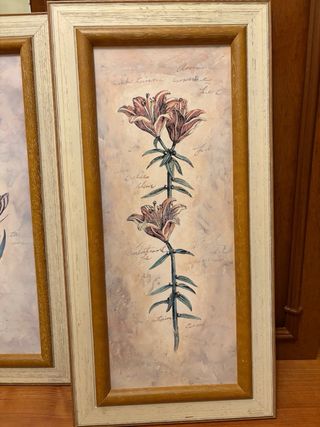 Juego de 2 cuadros de flores