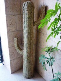 Cactus Decorativo Esparto