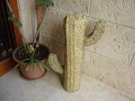 Cactus Decorativo Esparto