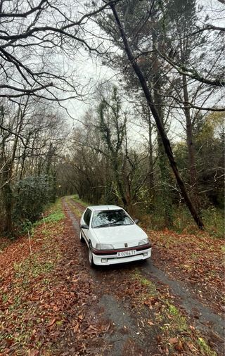 Peugeot 106 Xsi 1992