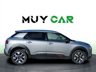 Citroen C4 Cactus PureTech 110 S&S Shine 81 kW (110 CV)