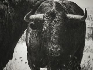 Cuadro Toros Demetrio Sanz