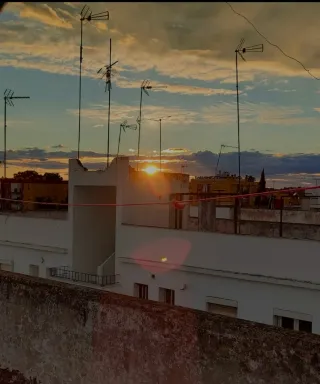 Hola tengo habitación disponible en Coria del Río