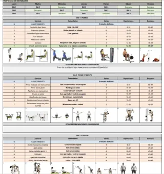 Entrenador personal titulado Online