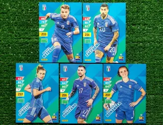 5 carte Adrenalyn XL Panini Italia C572