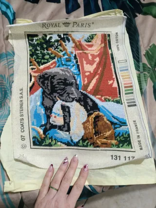 Tela ricamata a mezzo punto Royal Paris