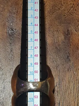 Anillo Tous Oso Negro y Plata