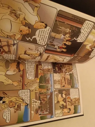 Lote de historia ilustrada de Palencia y Castilla