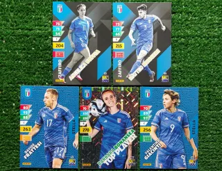 5 carte Adrenalyn XL Panini Italia C577