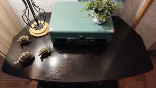 Mesa vintage para Vinilos y Música