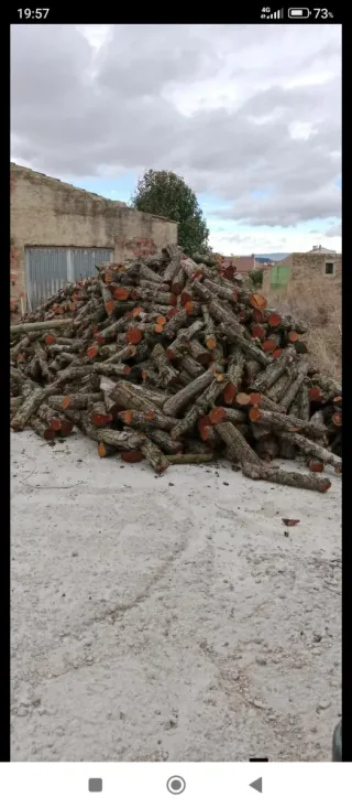 Leña frutal seca para chimenea
