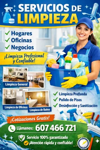 Servicios domésticos, de obra y otros