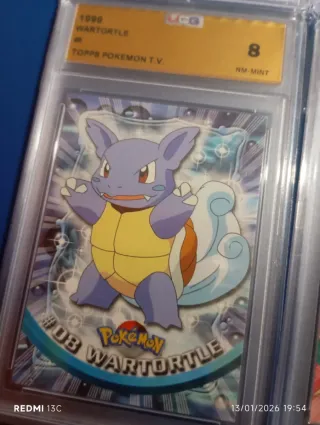 Venusaur Squirtle Wartortle Hitmonlee
