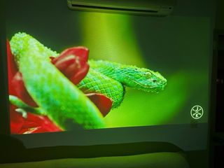 Proyector Epson EB-X12