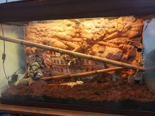 Acuario/ Terrario 220 litros Livingwall AG100C