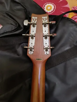 Guitarra Acústica Academy