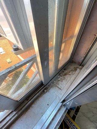 Servicio de limpieza