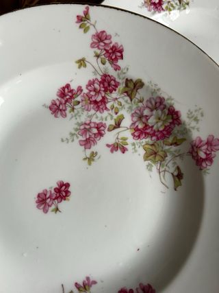 Platos hondos porcelana francesa
