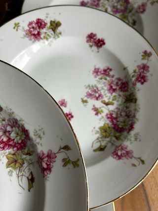 Platos hondos porcelana francesa