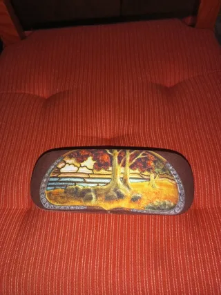 Funda de gafas rígida